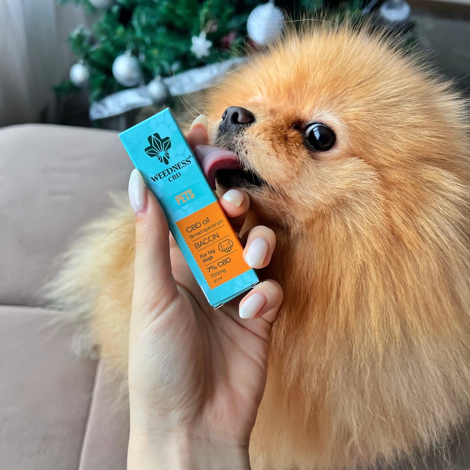 CBD Oil 7% for Big Dogs | Bacon 10ml
